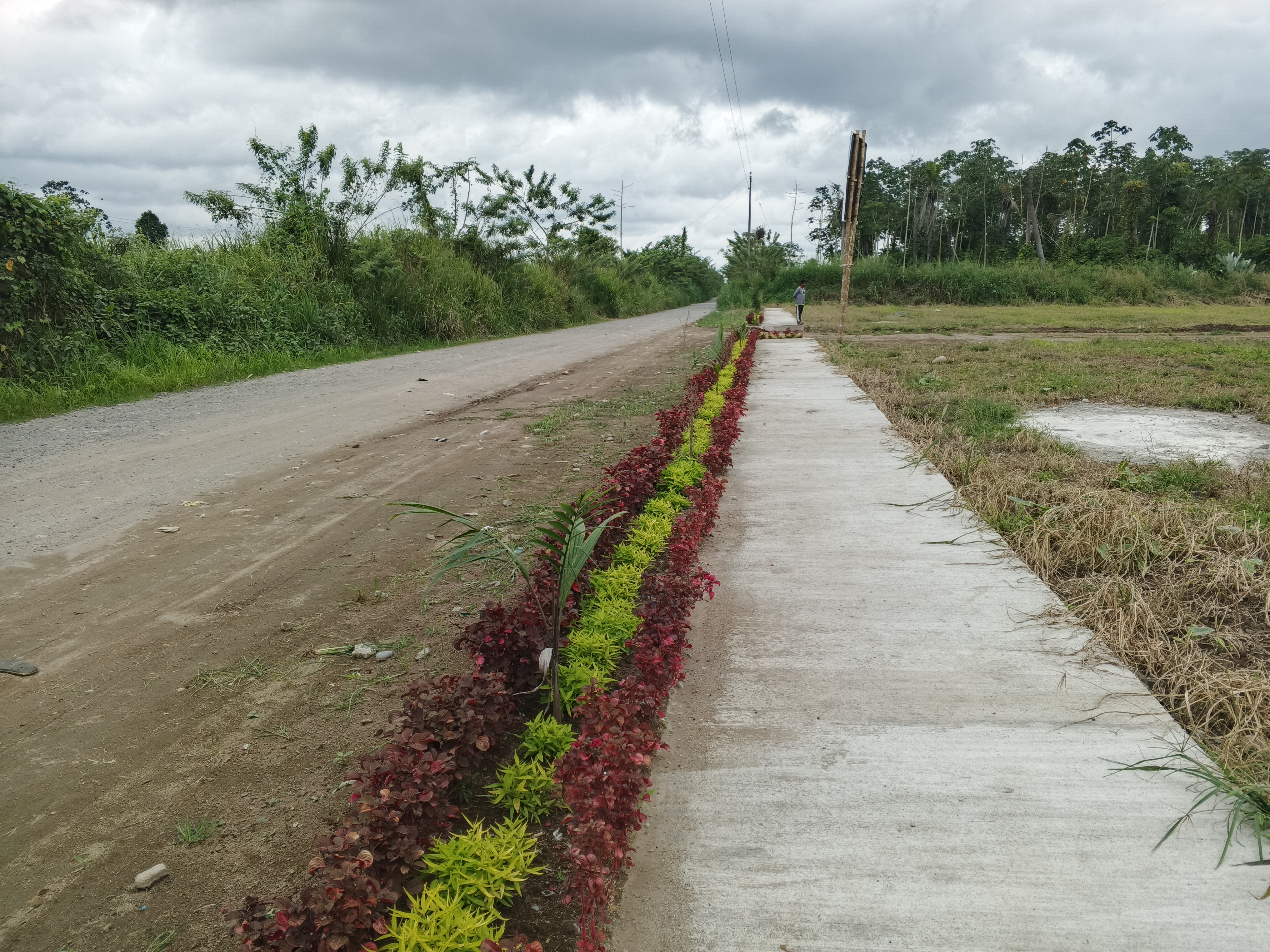 Vista aérea de Prados de San Miguel
